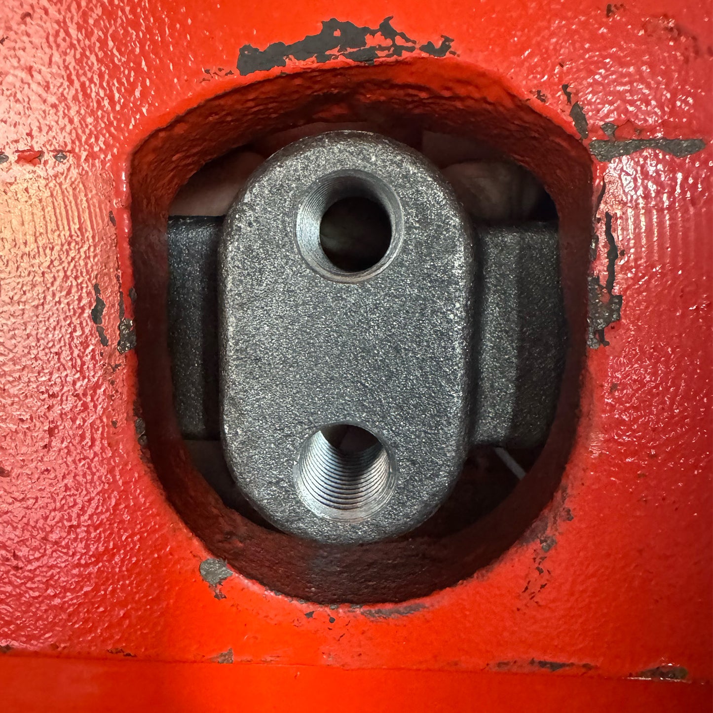 Forged Universal Container Nut | 24 PACK